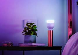 bulb