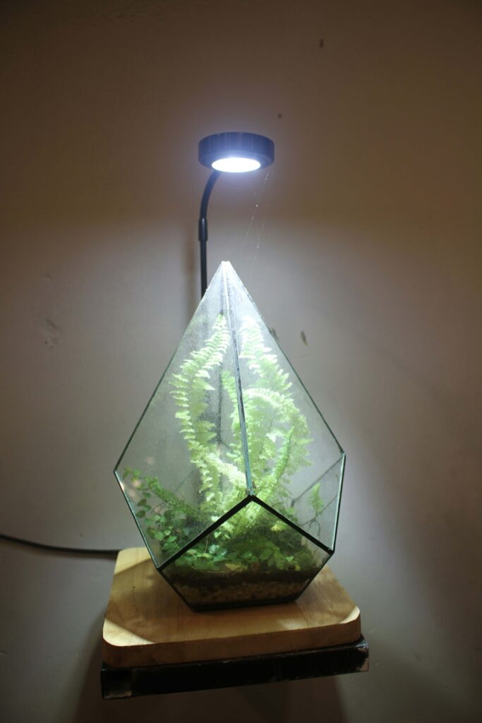 smart grow light